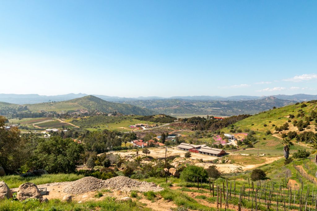 The Best San Diego Wineries and Tasting Rooms San Diego Coast